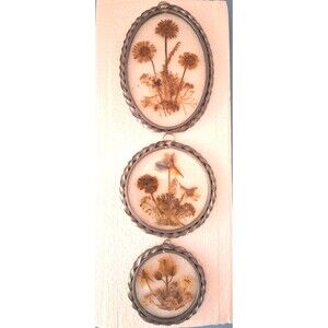 VTG 3 Lasting Impressions Dried Flowers Under Glass Wall Window Art Framed